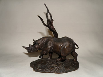 Black Rhinoceros