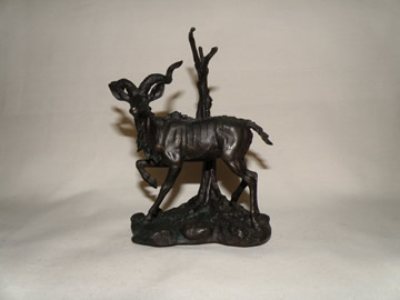 Greater Kudu