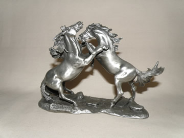 Wild Stallions